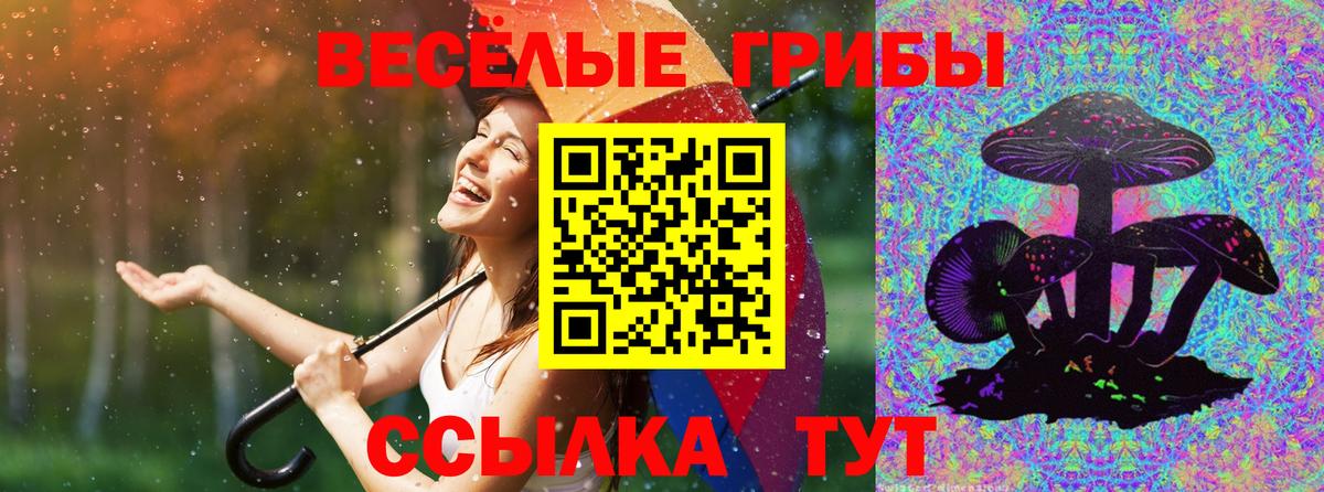Псилоцибиновые грибы MAGIC MUSHROOMS  Галлюциногенные грибы прущие грибы  Волгоград  Вход с VPN 